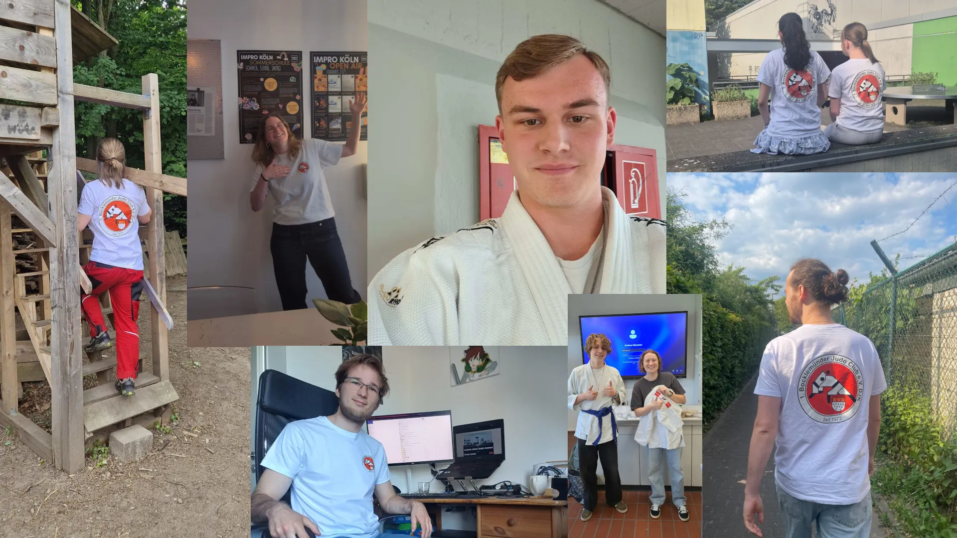 Die Kollage der Einsendungen