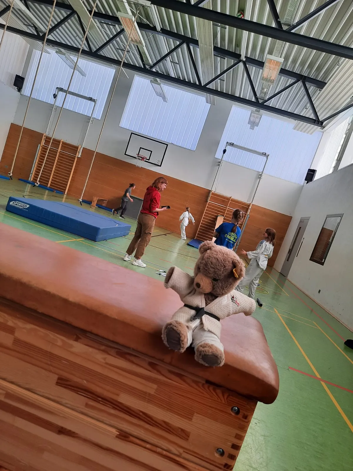 Beim Parcours gabe es viele Herausforderungen