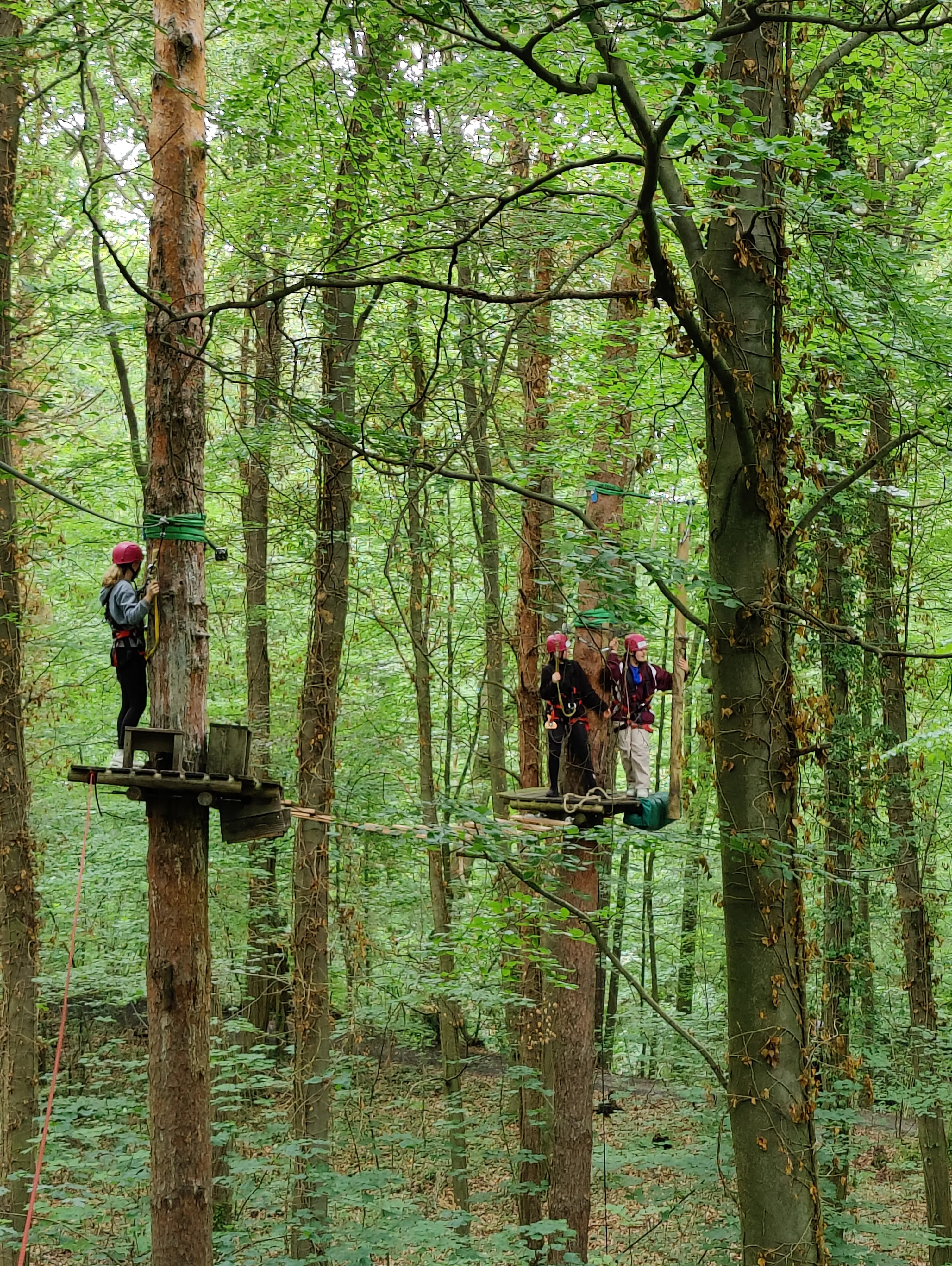 Die Plattformen in den Bäumen