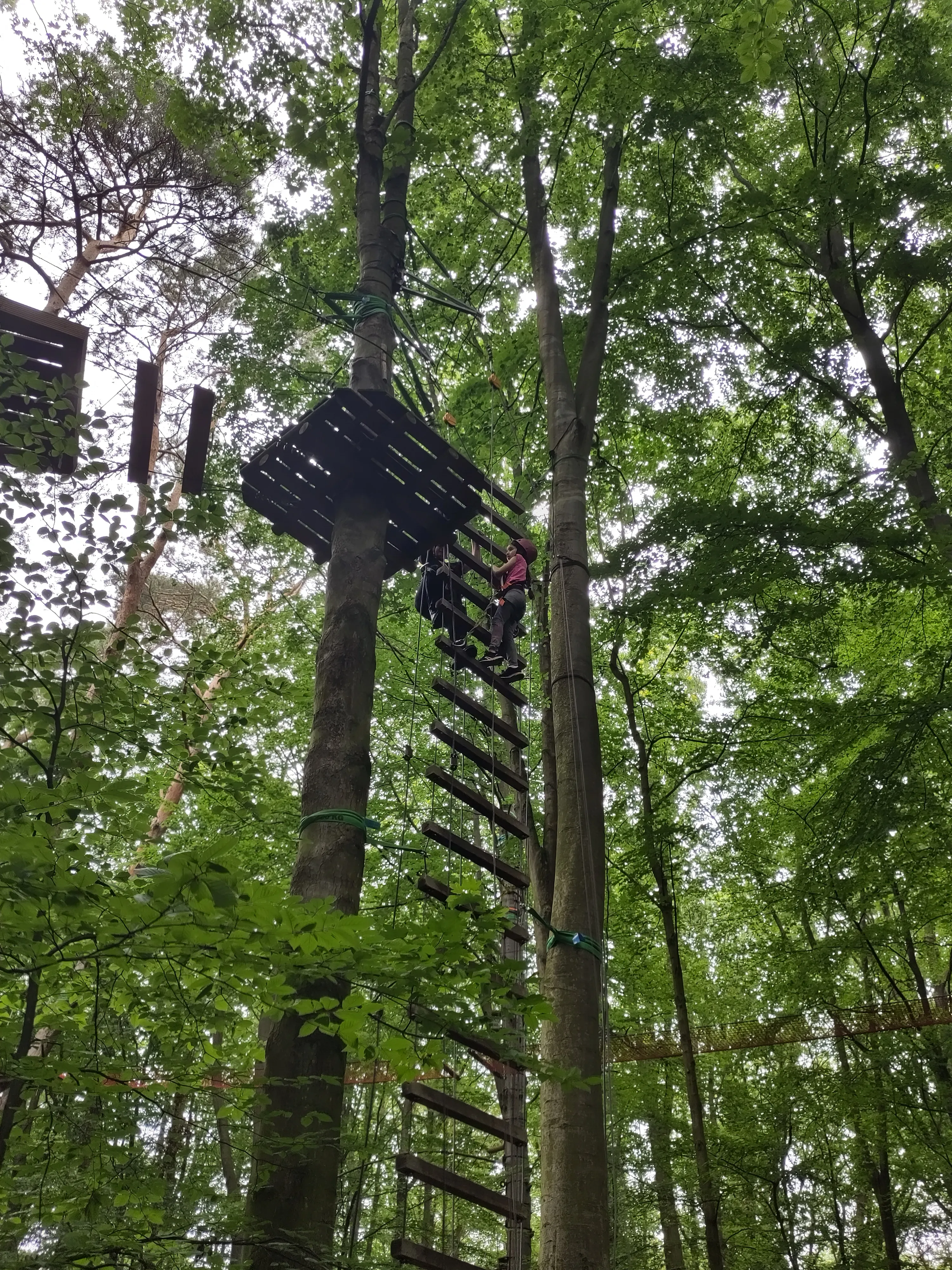 Hohe Leitern galt es zu erklimmen